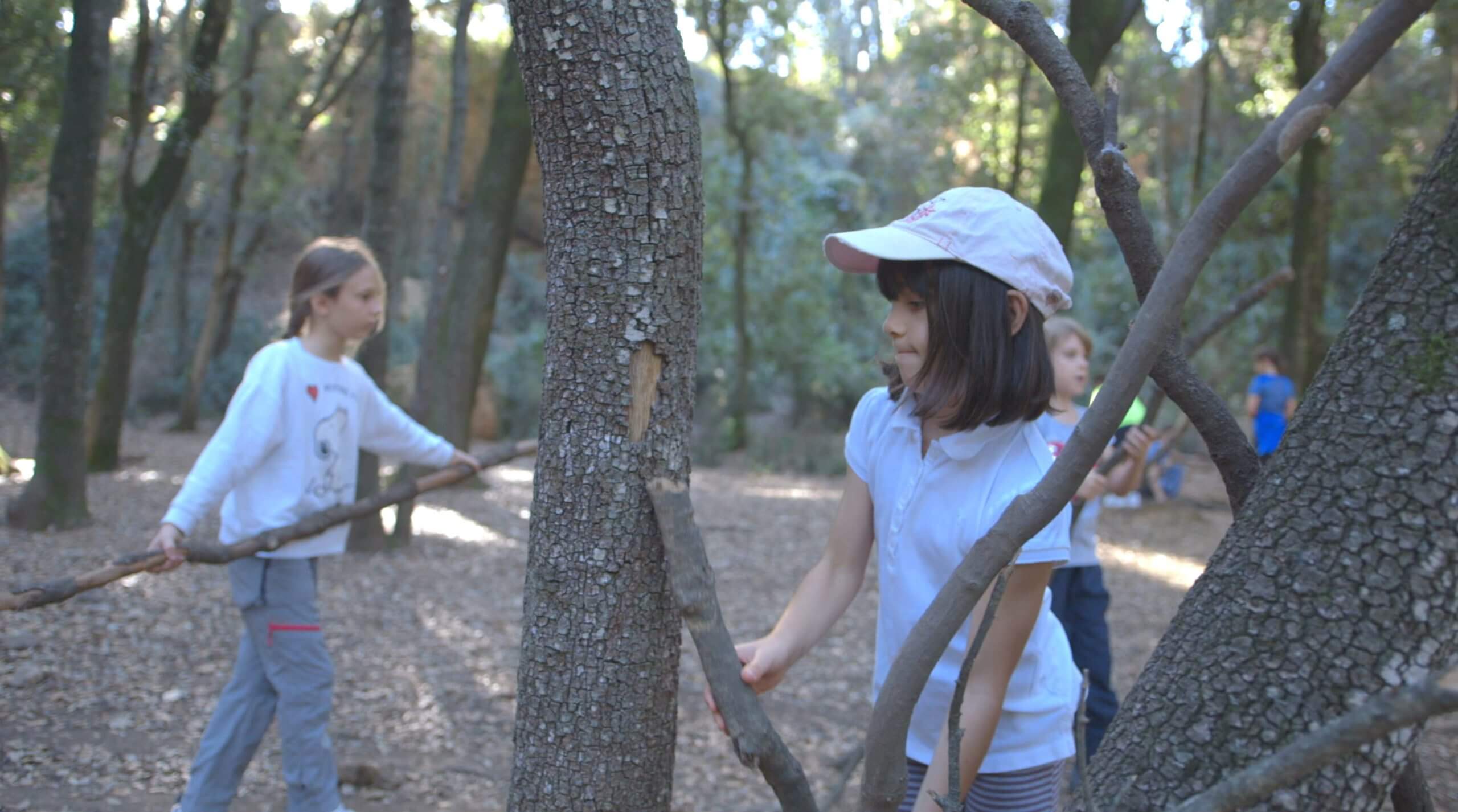 forest-school-programme