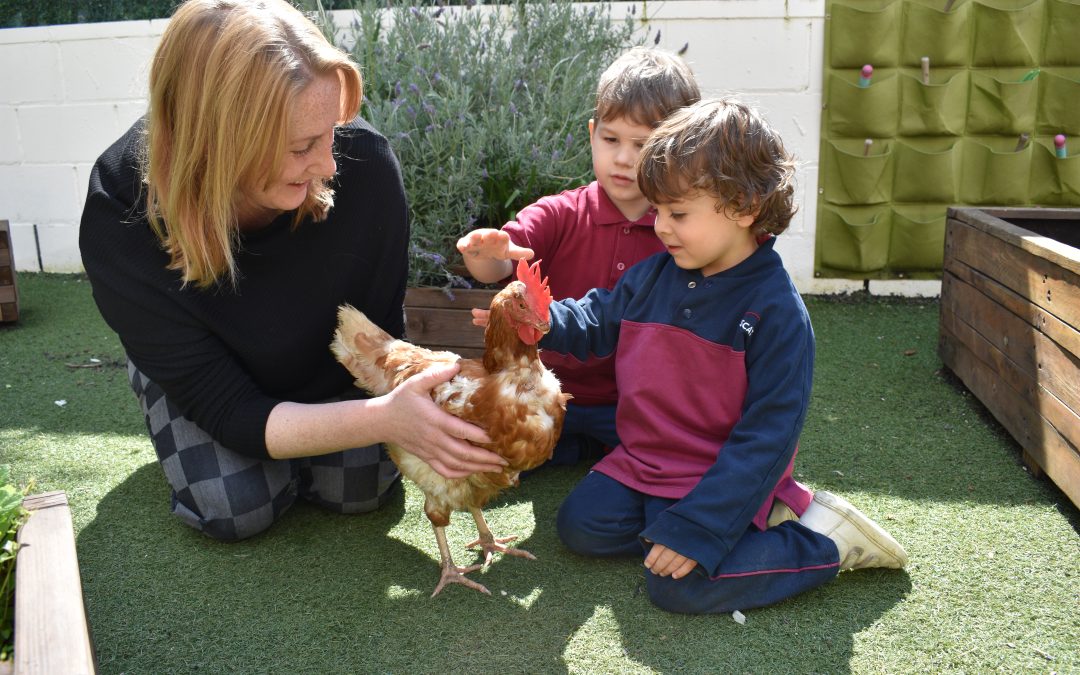 Storytime Comes to Life with a Special Visit! 🐔