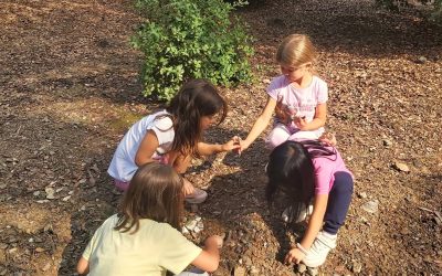 Forest School is back! 🌿
