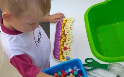🌟 Fine Motor Skills in the Early Years