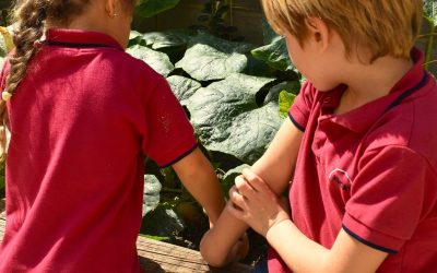 🌱 Year 1 – Budding Gardeners!🌱