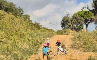 🌳🚴‍♀️ Gaining Confidence on the Bikes! 🚴‍♂️🌿