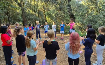 🌿 Forest School Adventures! 🌿