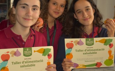 🍎 Year 7 Healthy Habits Workshop