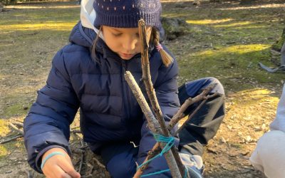 🌲 Forest School Festivities! 🌲