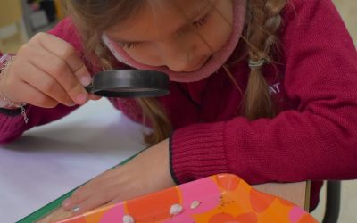 Growing Curiosity: Year 1 Explore the World of Plants🌿
