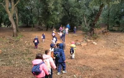 🍃 A proud milestone for our Nursery learners 🍃