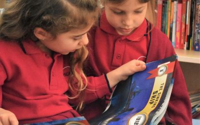 📚 Year 1 Library Adventures!