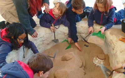 Primary become Archaeologists⛏️