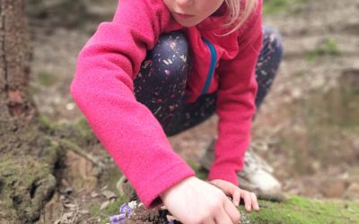 Year 3 Forest School