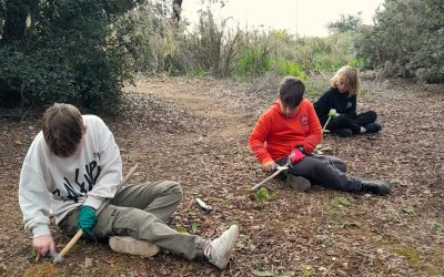 Year 6 Forest School 🌿