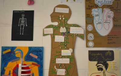 Year 7 Science on display 🧠