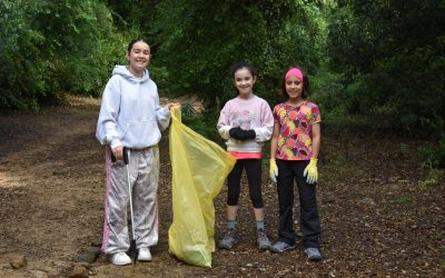 Let’s Clean Europe project 🌿