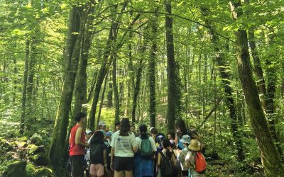 Primary Residential Trip – Years 3–6 🌟